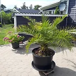 Guest house Gaestehus Stillinge Stillinge Strand