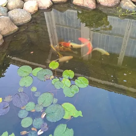 Gaestehus Stillinge Stillinge Strand