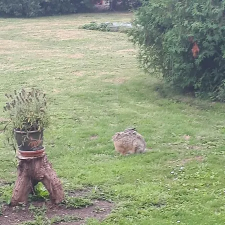 Gaestehus Stillinge 3*