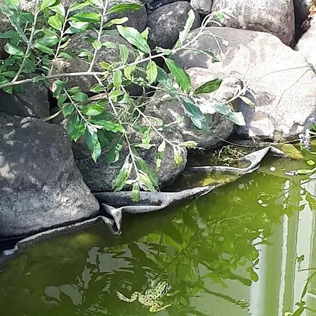 Guest house Gaestehus Stillinge