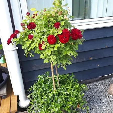 Gaestehus Stillinge 3* Stillinge Strand