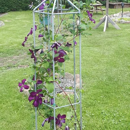 Gaestehus Stillinge Πανσιόν Stillinge Strand