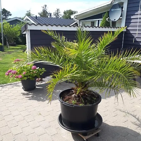Πανσιόν Gaestehus Stillinge Stillinge Strand